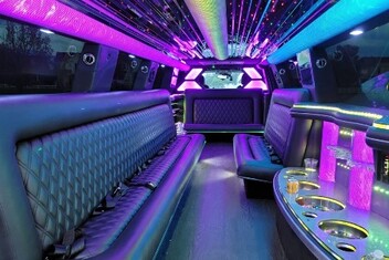 Redondo Beach Limo Interior