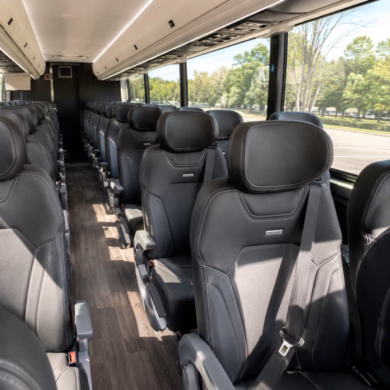 redondo beach prom transportation onboard seating
